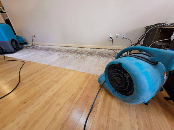 Professional Ceiling Water Damage Repair technician working in Silverwood, MI